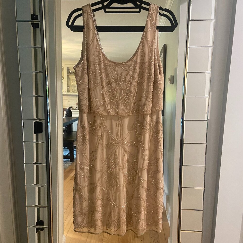 Adrianna Papell Sleeveless Scoop Neck Cocktail Dresses - 2 Dresses Sz 6 and Sz 8